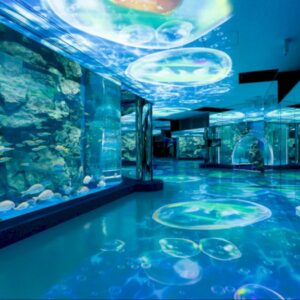 Jakarta Aquarium, Menjelajahi Keajaiban Kehidupan Laut di Ibukota